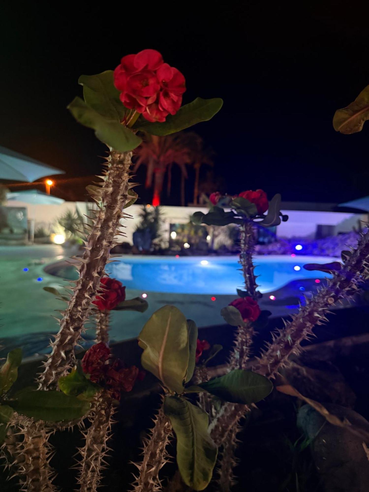 Paraiso Villas Playa Paraiso  Ngoại thất bức ảnh